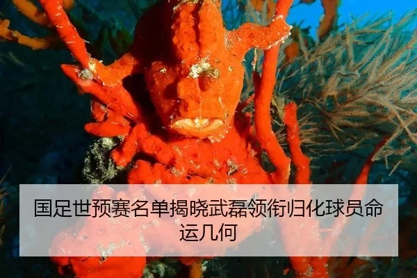 guo-zu-shi-yu-sai-ming-dan-jie-xiao-wu-lei-ling-xian-gui-hua-qiu-yuan-ming-yun-ji-he-3-932.jpg