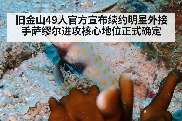 旧金山49人官方宣布续约明星外接手萨缪尔进攻核心地位正式确定